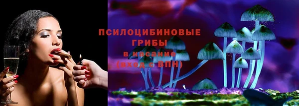 дживик Новодвинск