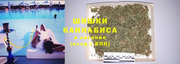 дживик Новодвинск