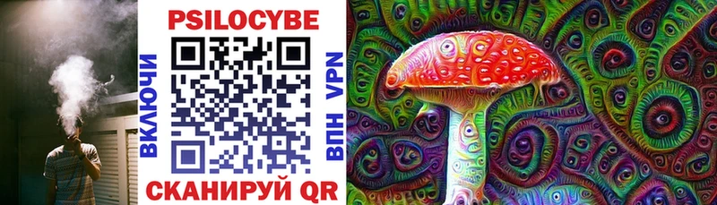 где купить   Александров  Галлюциногенные грибы Magic Shrooms 